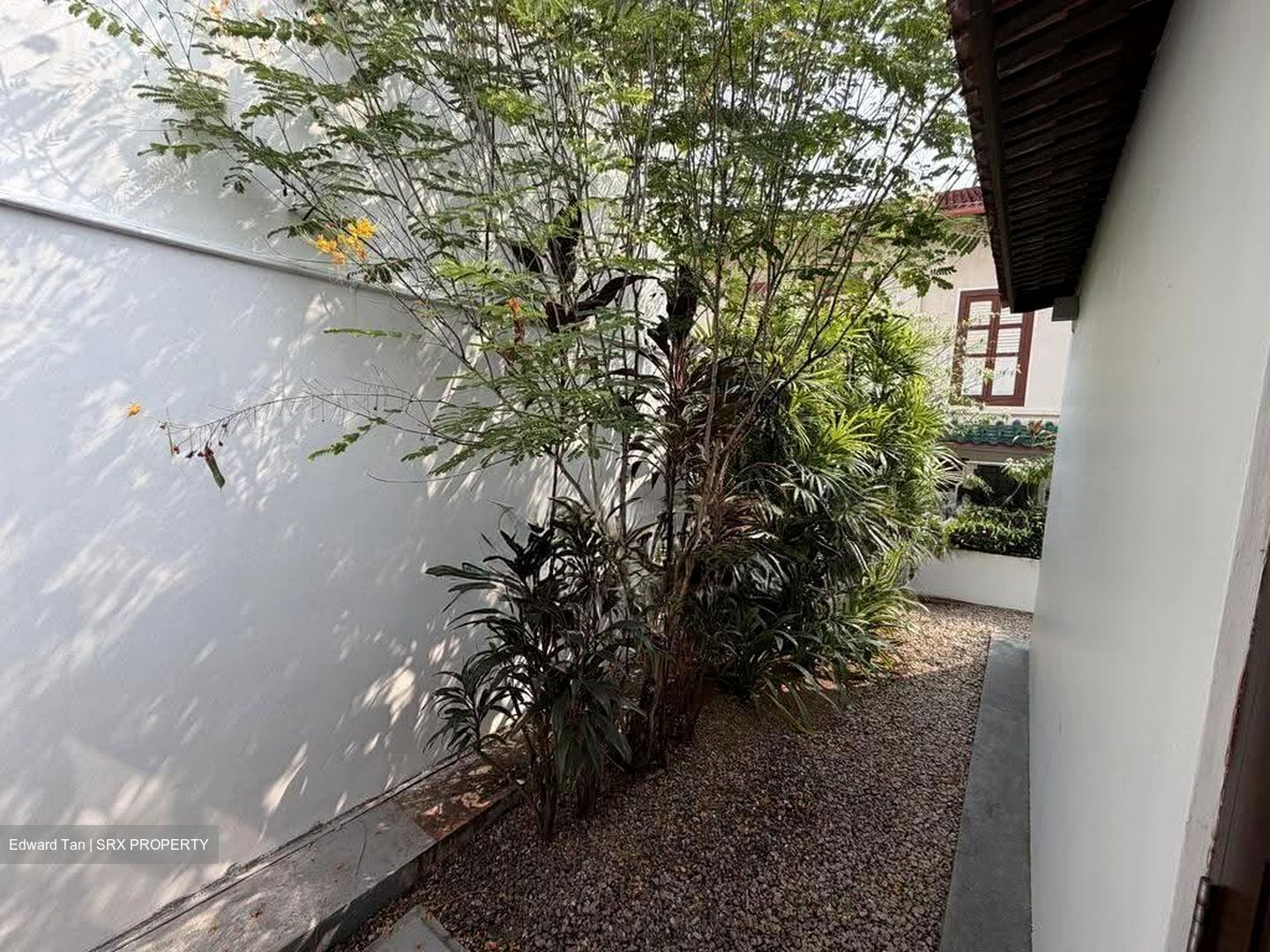 Bukit Pasoh Conservation Area (D2), Shop House #624603471